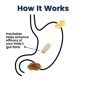 Previtalize | Daily Digestive Support Prebiotic (AU)