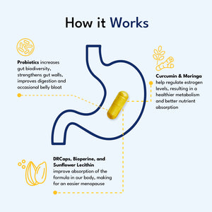 Provitalize | Best Natural Menopause Probiotic (AU)