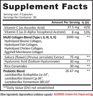 Slim Gut Plus Bundle