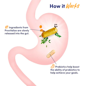 Slim Gut Bundle (AU)