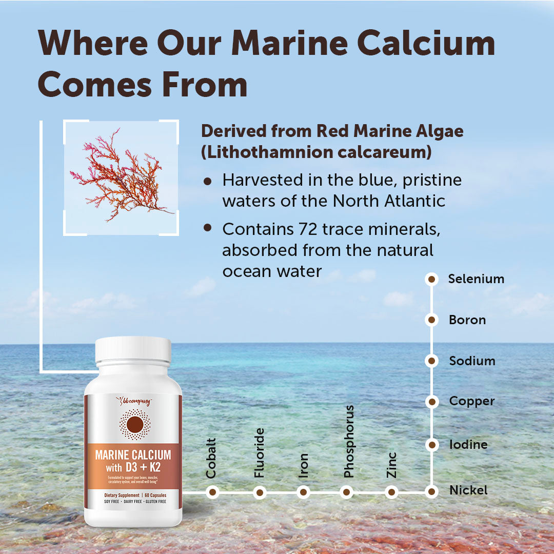 Marine Plant Calcium with Vitamin D3 + K2